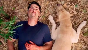 Остаться в живых с самого начала намекал на спорный финал