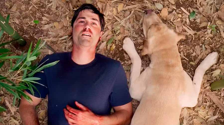 Остаться в живых с самого начала намекал на спорный финал