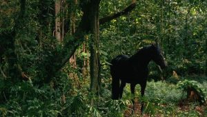 9 серия Что сделала Кейт