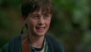 20 серия Человек за ширмой