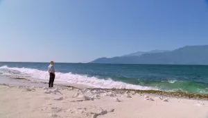 7 серия Жизнь и смерть Джереми Бентама